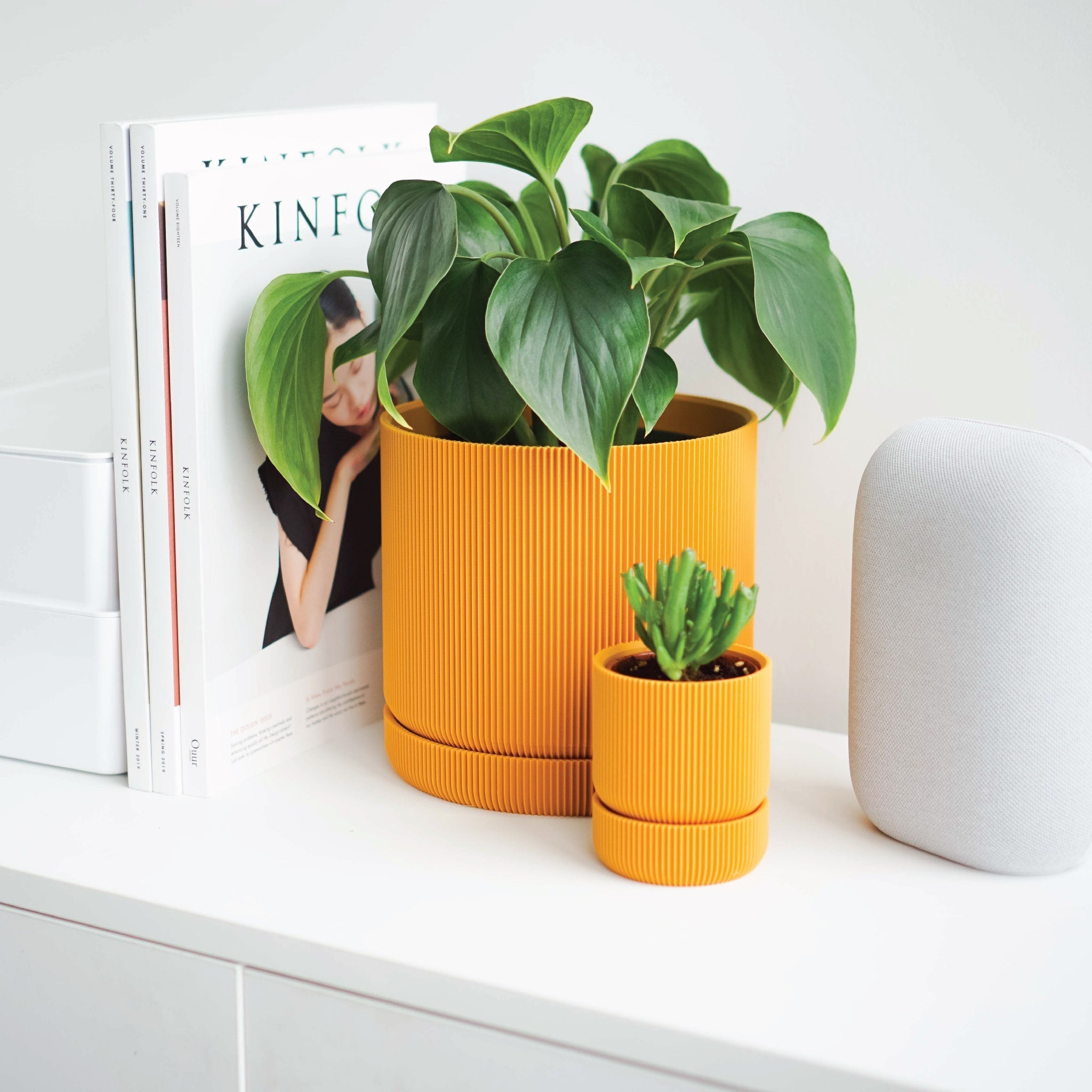 Planters and greenery in a biophilic interior scheme
