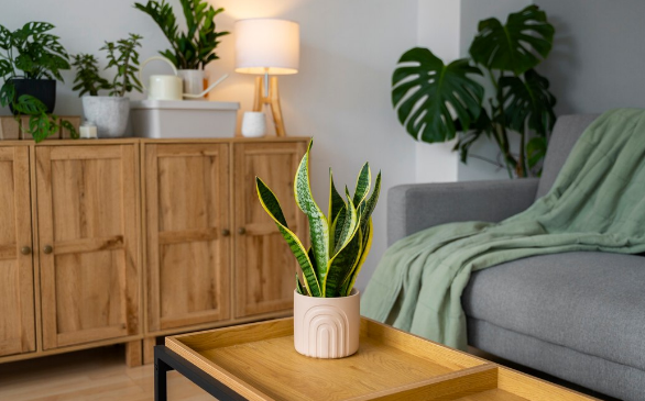 Non-Toxic Furniture: What You Need to Know