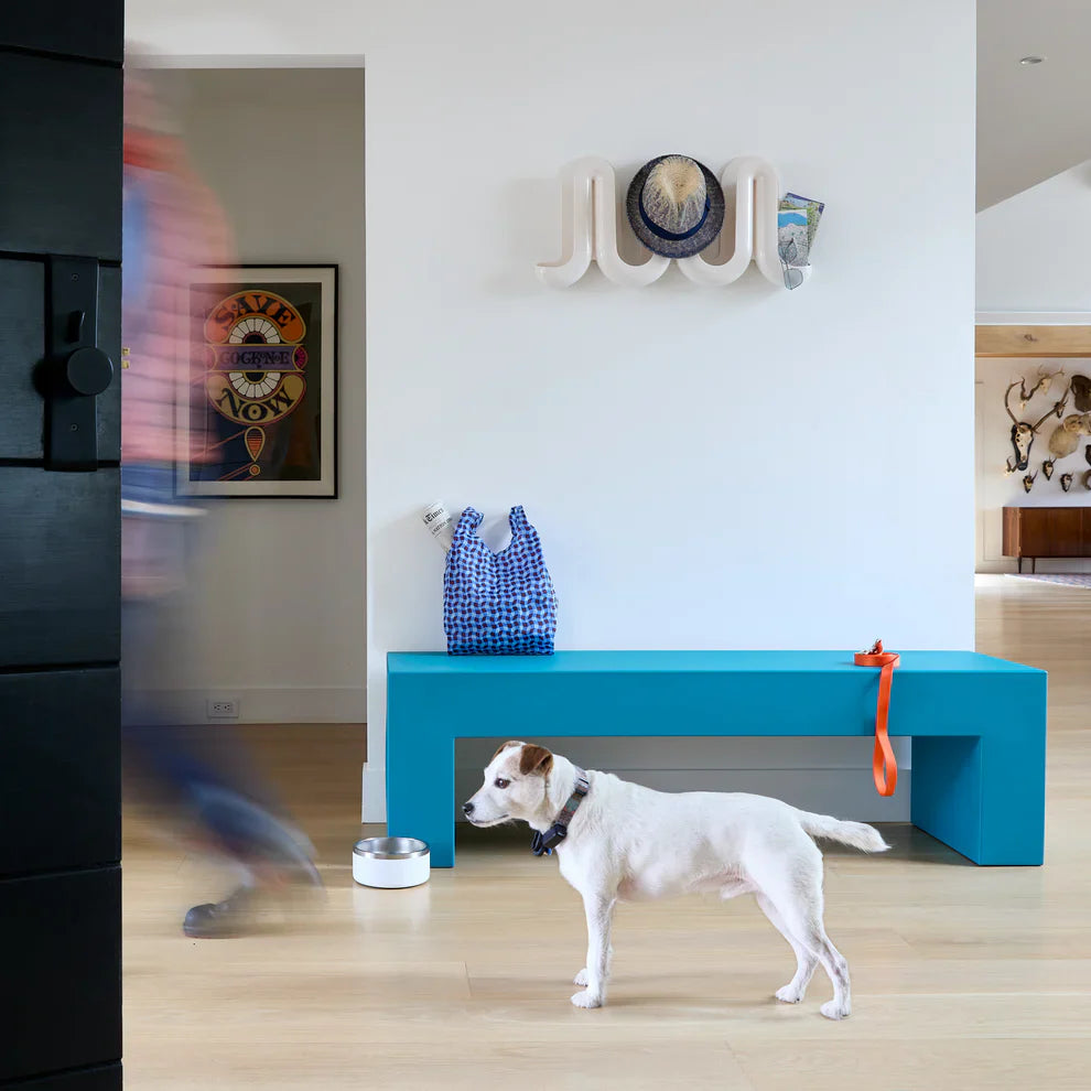 A bright blue bench in a white hallway with a dog and a wall-mounted ceramic