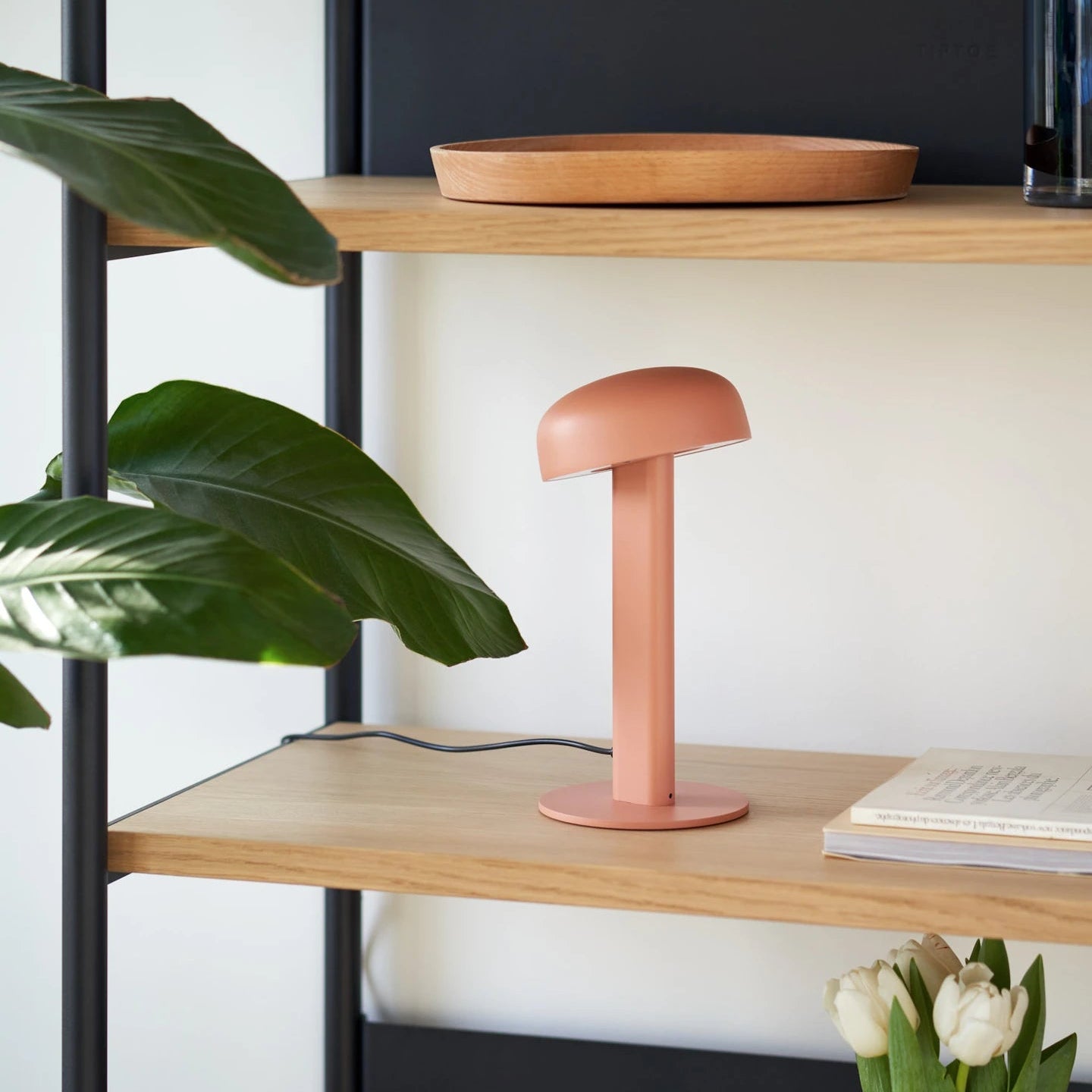 Tiptoe UNIT Modular Shelf