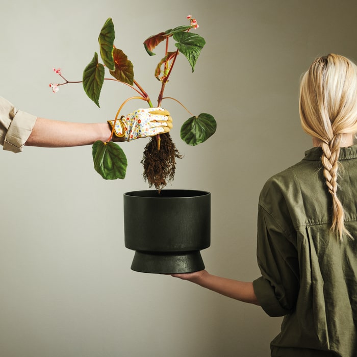 Recycled Flower Pots