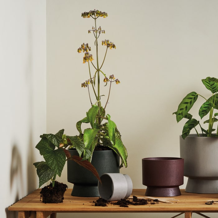 Recycled Flower Pots