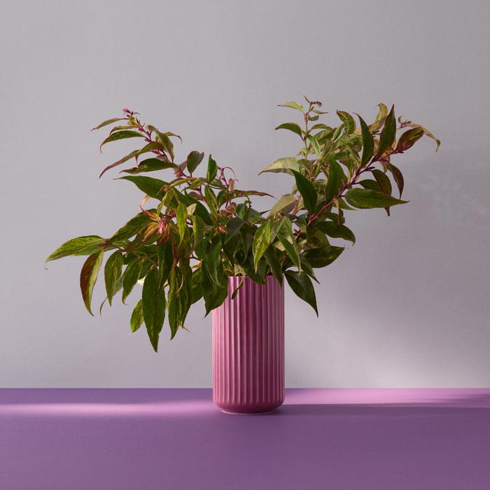 Lyngby Porcelæn Lyngby Vase