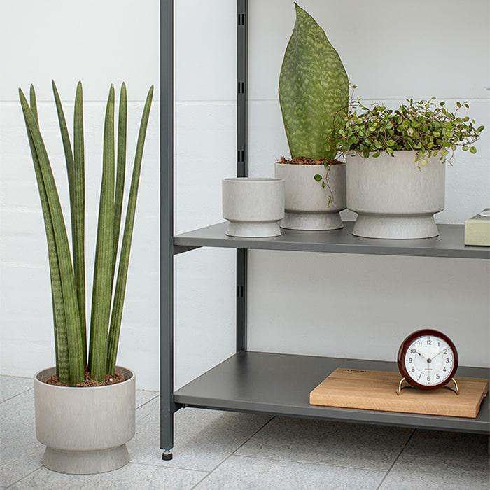 Recycled Flower Pots