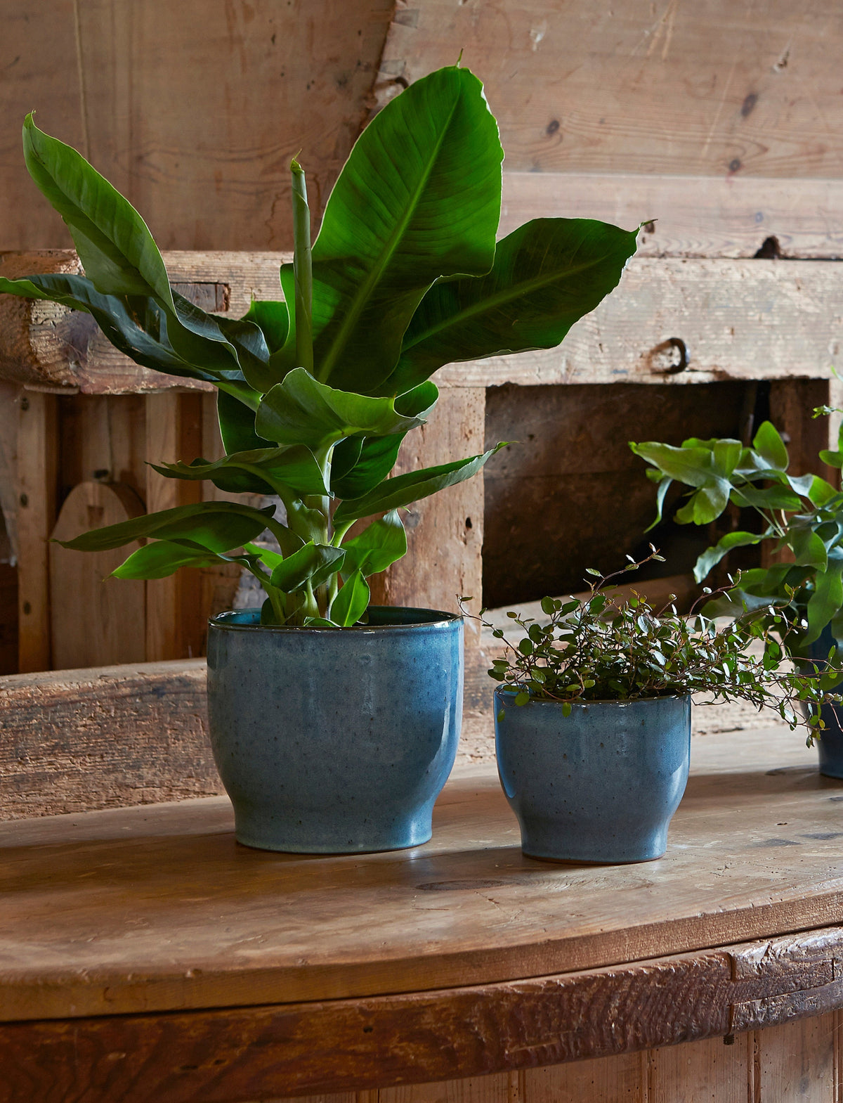 Knabstrup Flowerpot in dusty blue, styled in an interior setting, glazed terracotta
