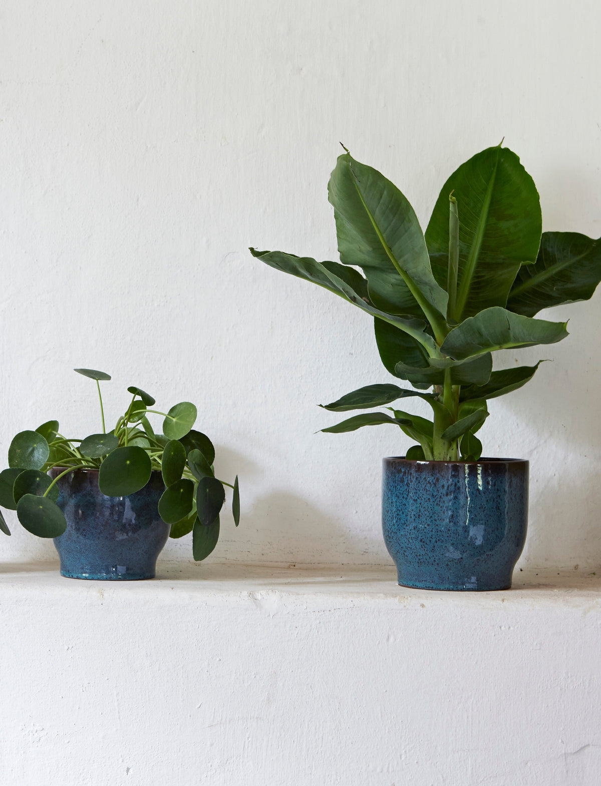 Knabstrup Flowerpot in ocean green, styled in an interior setting, glazed terracotta