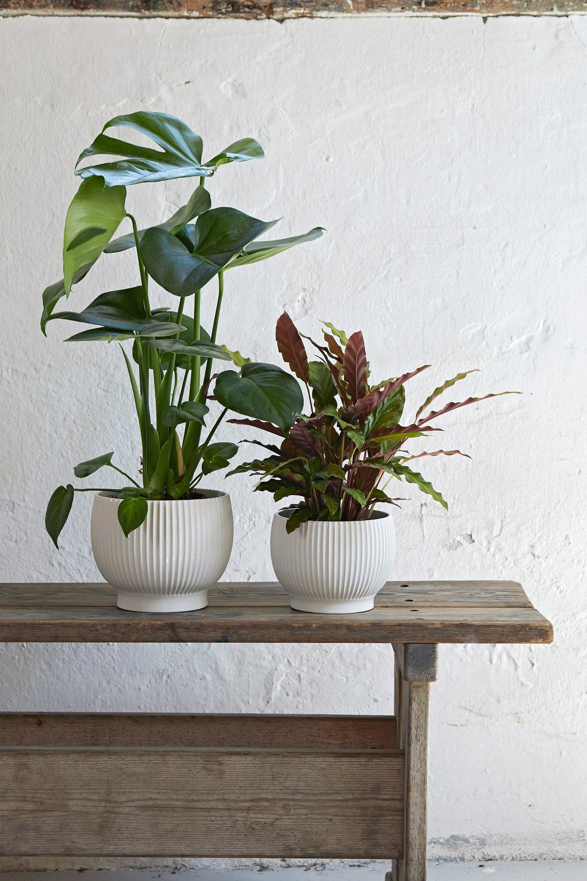 Knabstrup Ripple Flowerpot in white, styled in an interior setting, glazed earthenware