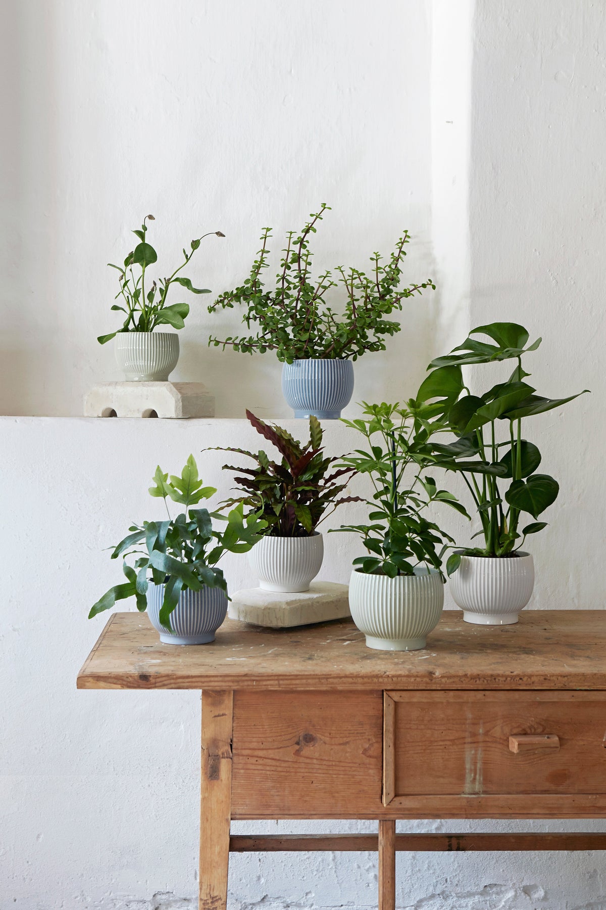 Knabstrup ripple flowerpots in several glazes, styled in an interior setting, glazed earthenware