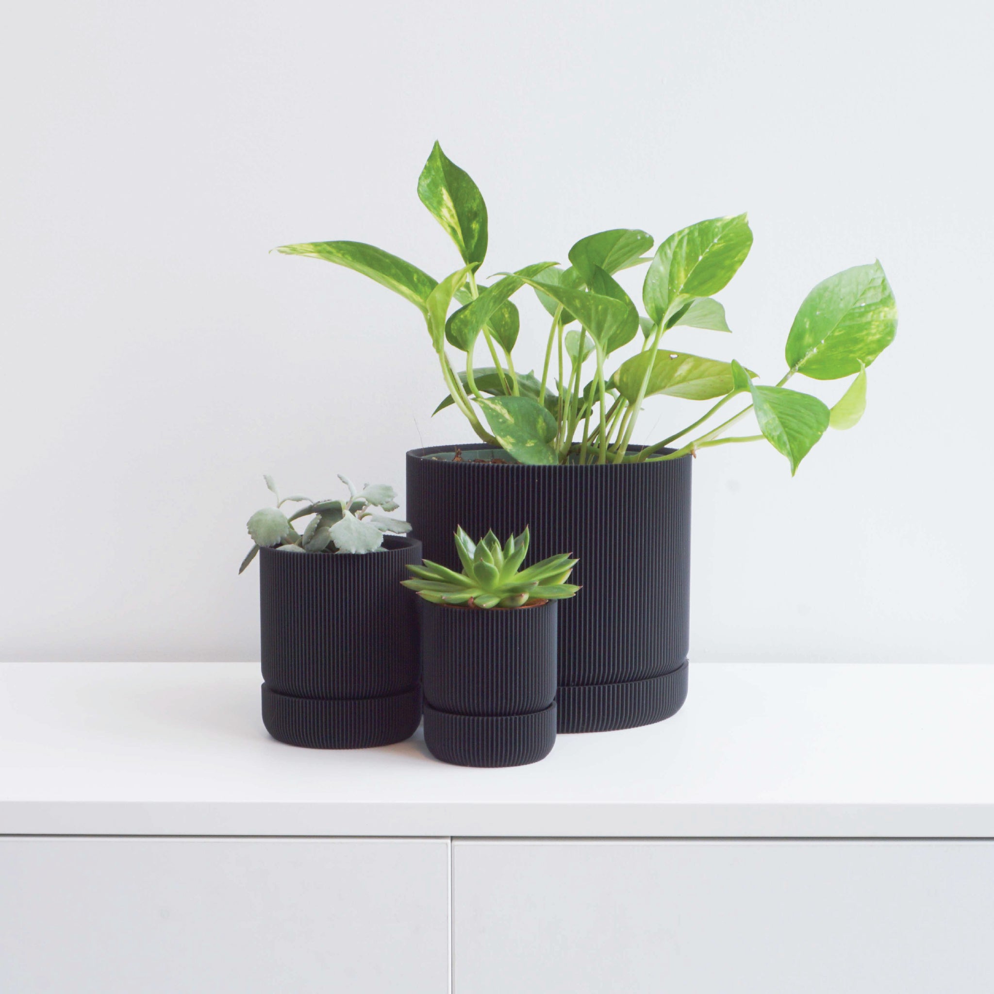 Sustainable Planters