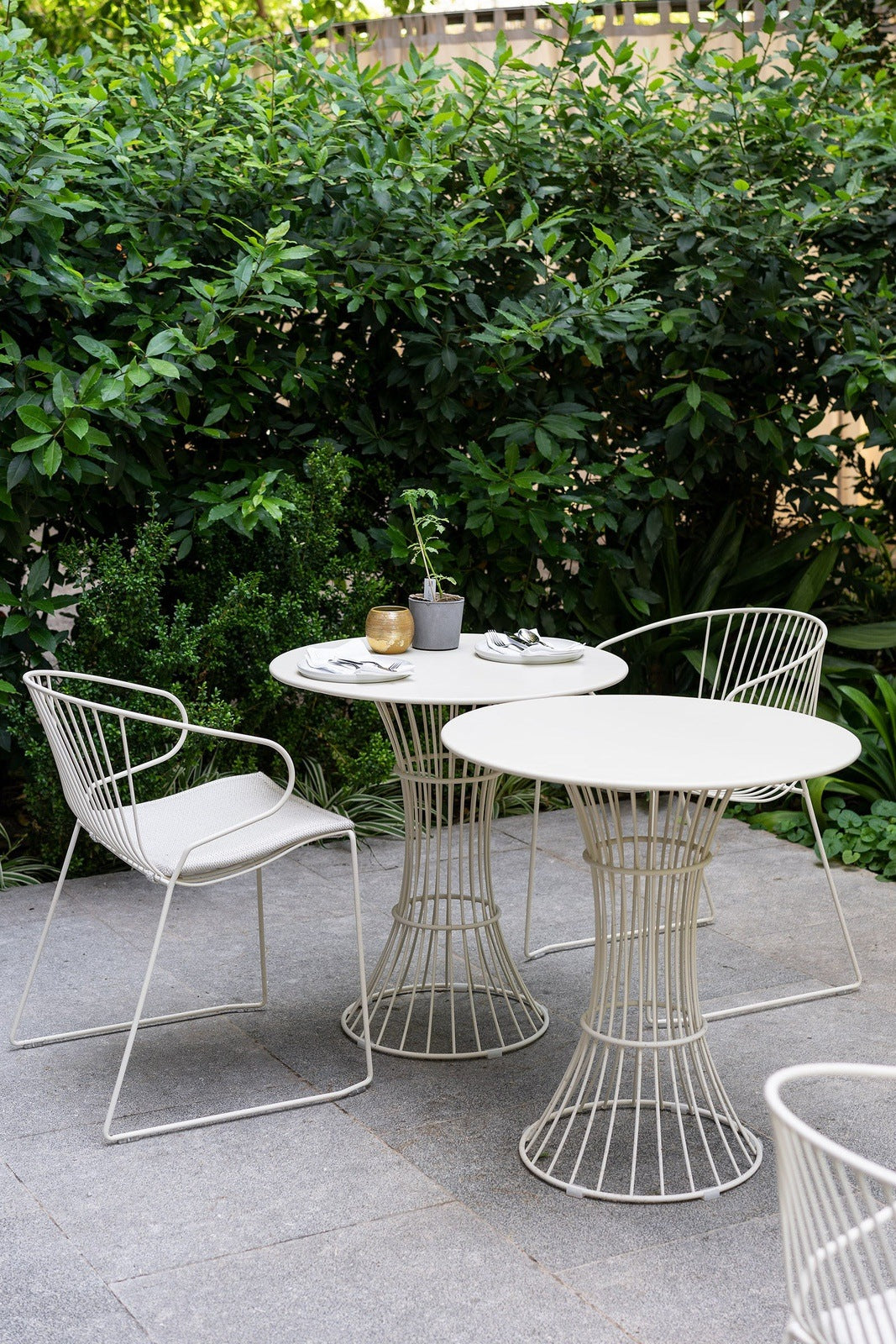 Bolonia Arm Chair
