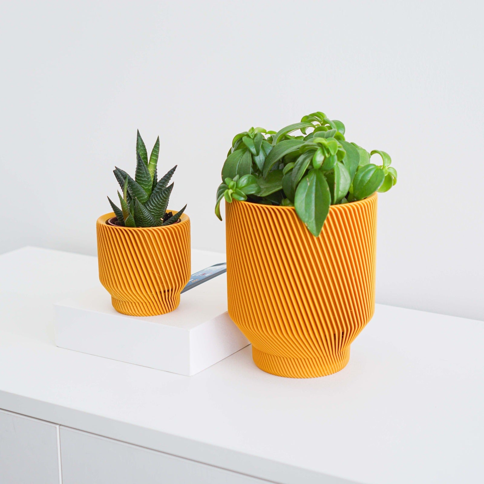Spruce Planter