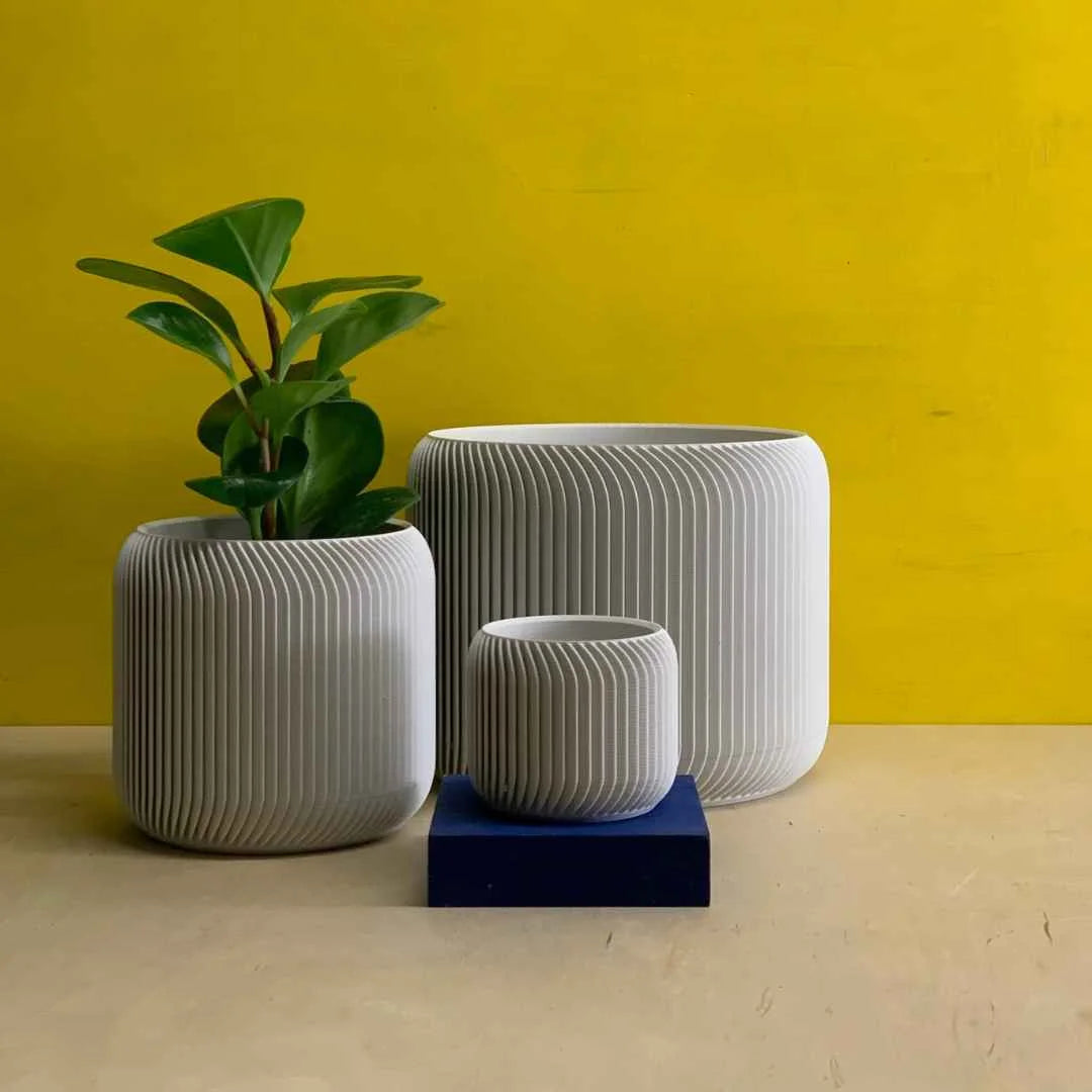 Pine Planter