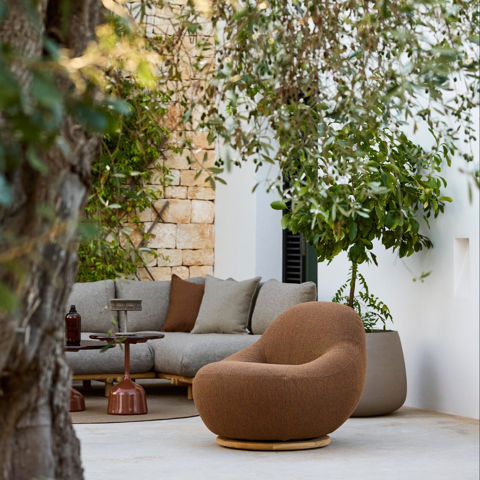 Gem Lounge Chair with Teak Swivel