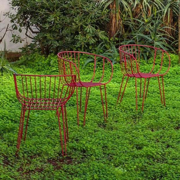 Olivo Arm Chair