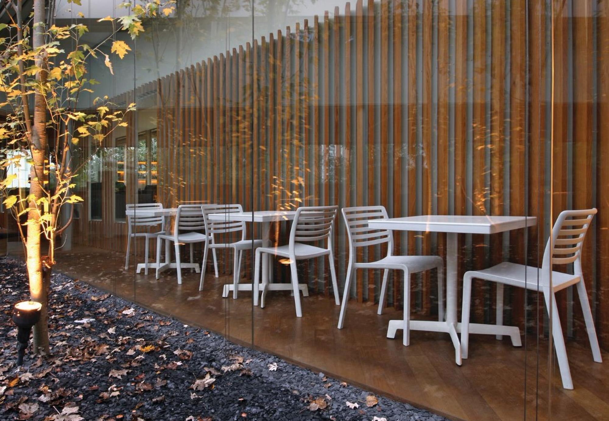 Lama Chair (Set of 4)