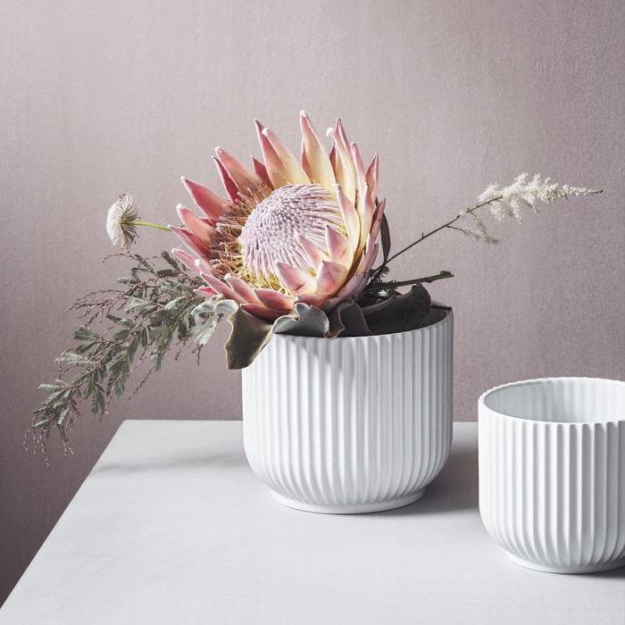 Lyngby Porcelæn Lyngby Flowerpot