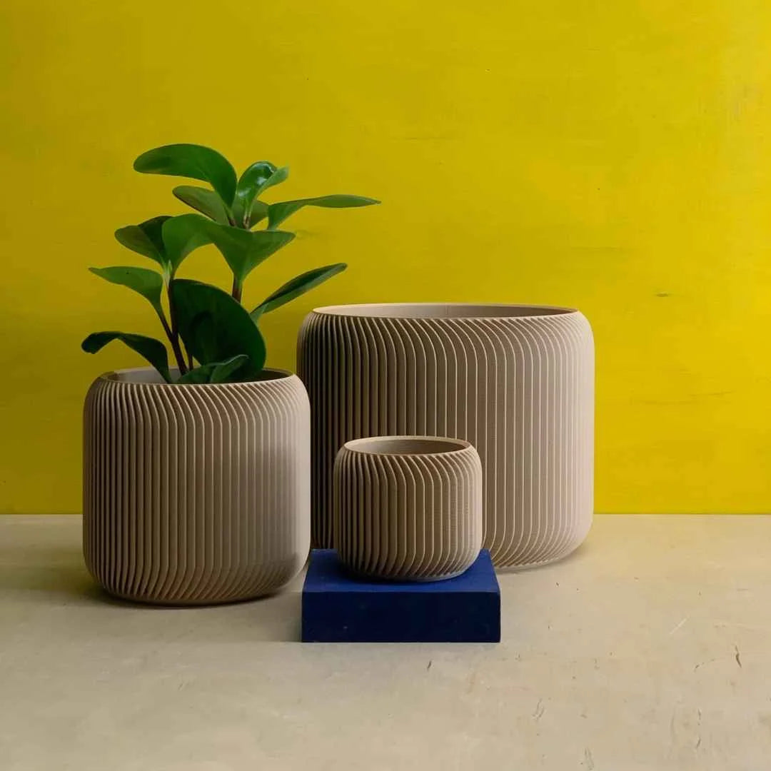 Pine Planter