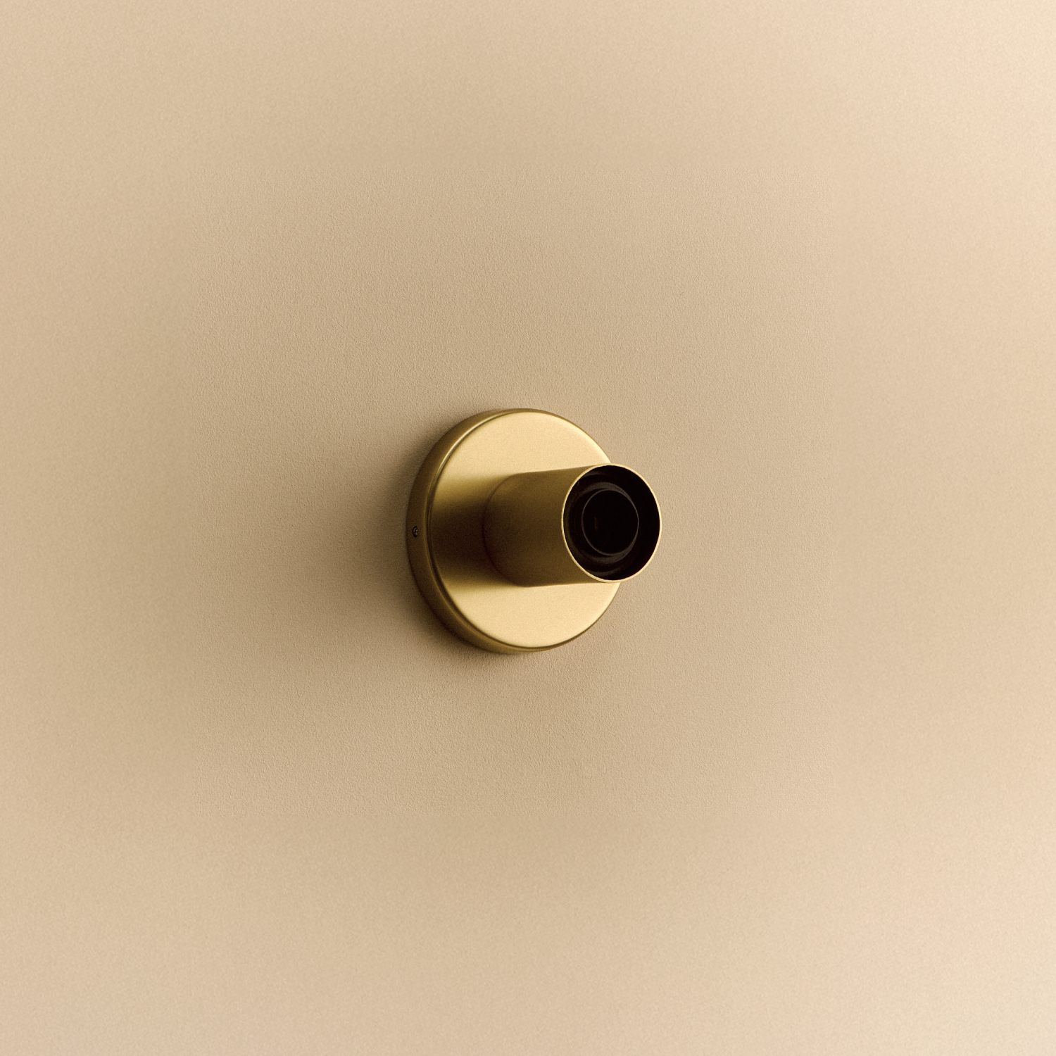 Lochan Wall Light in Brass, fixture without bulb