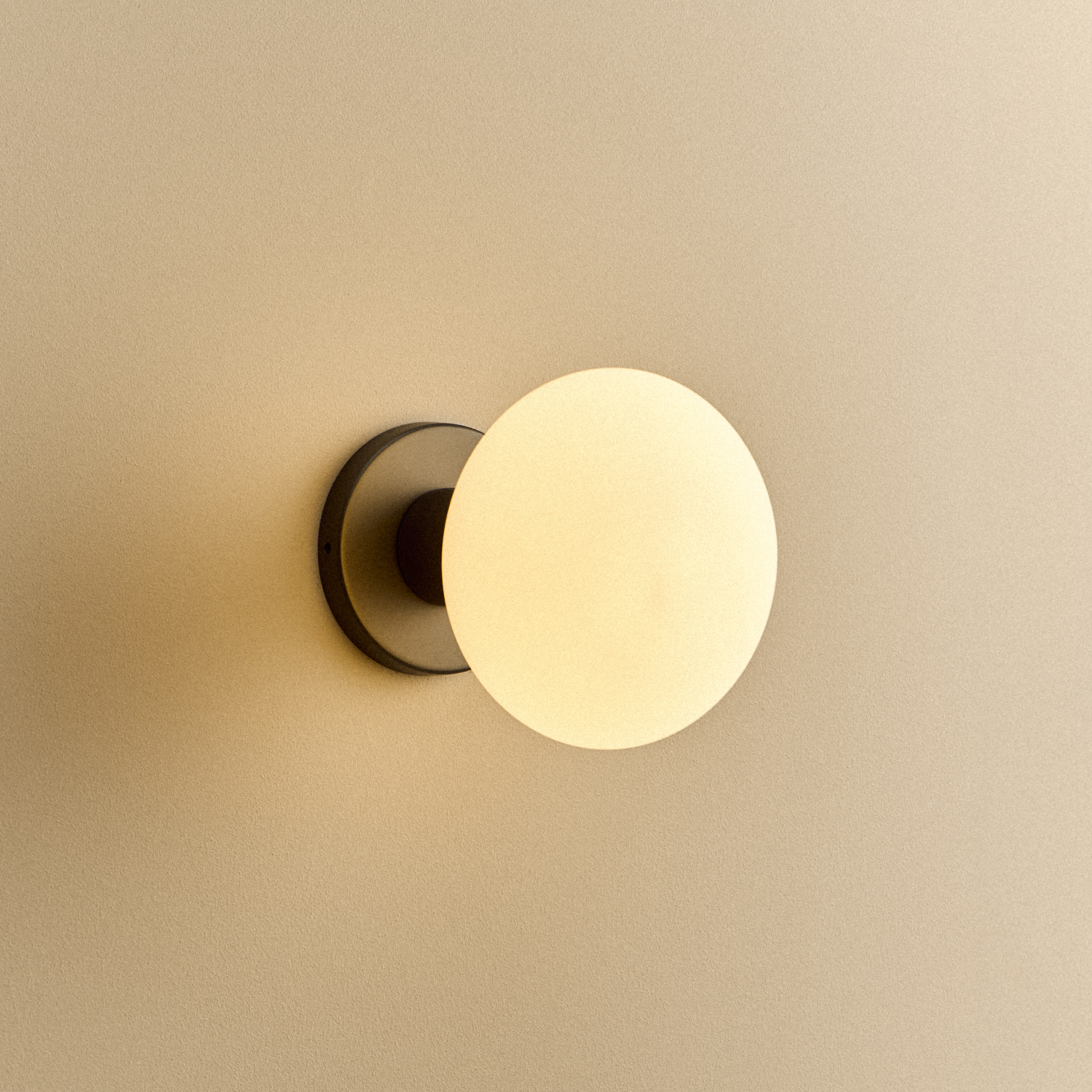 Lochan Wall Light in Graphite with Oval bulb, illuminated