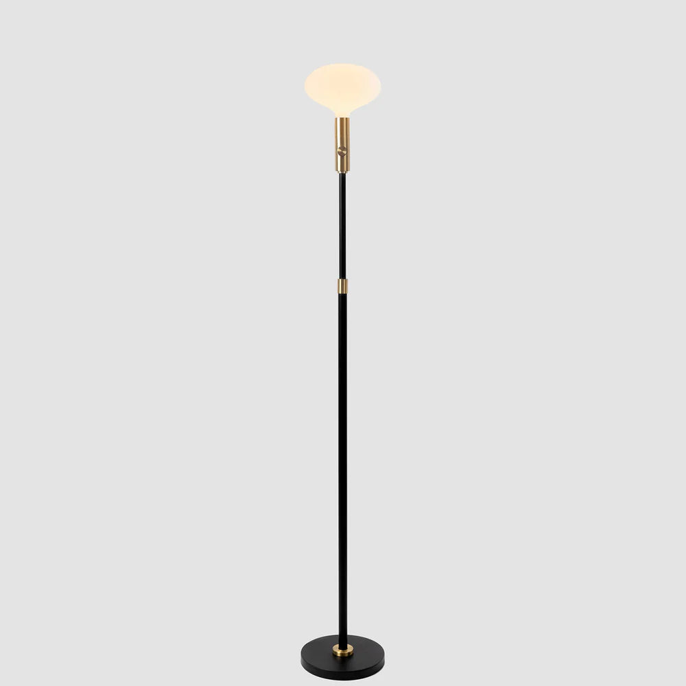 Poise Adjustable Floor Lamp & Oval II
