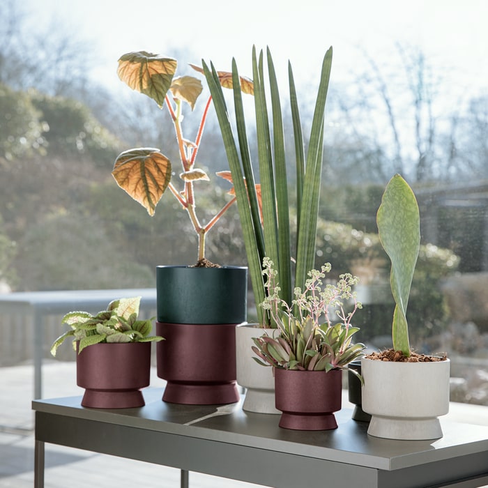 Recycled Flower Pots