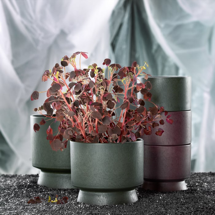 Recycled Flower Pots