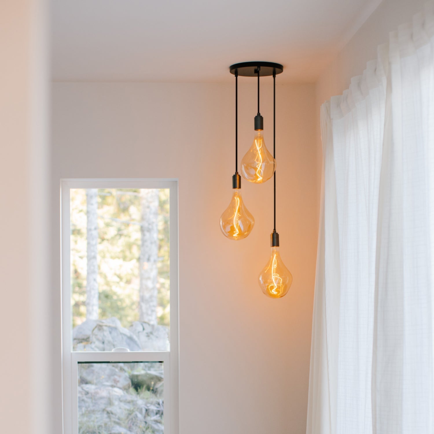 Tala Triple Pendant in Graphite with Voronoi II bulbs