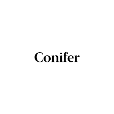 conifer
