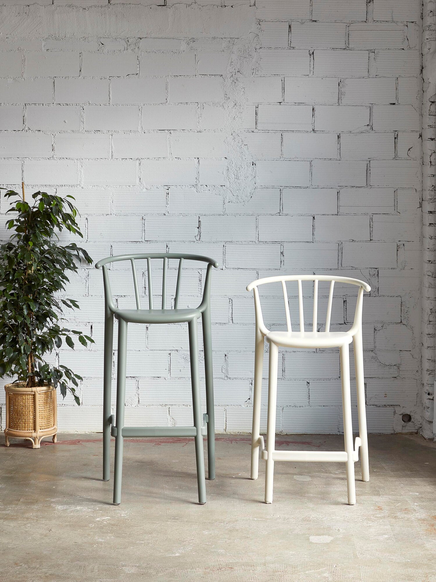 Woody Bar Stool (Set of 4)