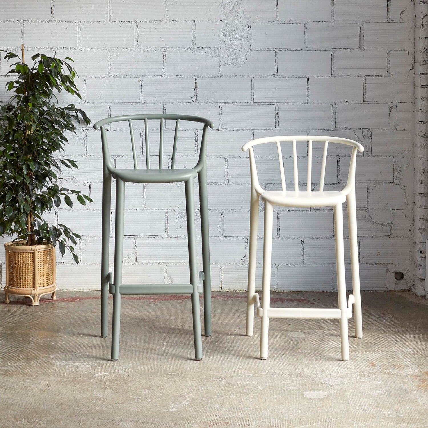 Woody Bar Stool (Set of 4)