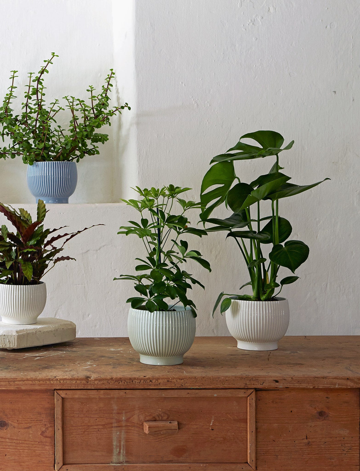Knabstrup ripple flowerpots in several glazes, styled in an interior setting, glazed earthenware