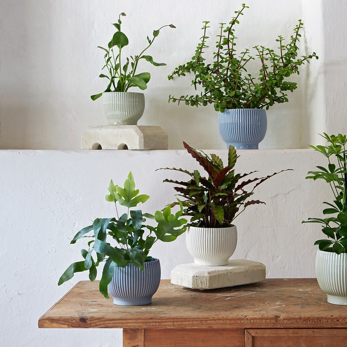 Knabstrup ripple flowerpots in several glazes, styled in an interior setting, glazed earthenware