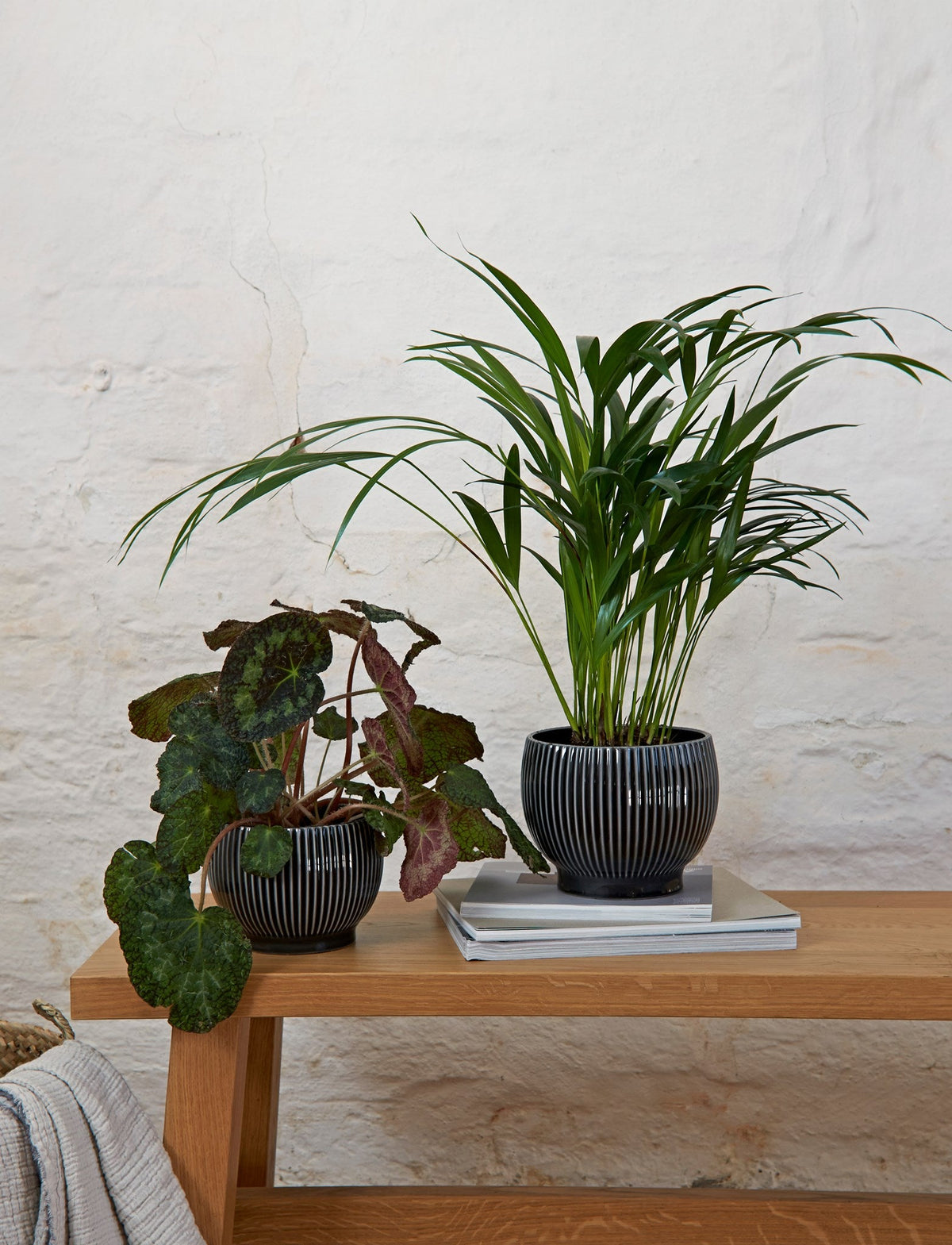 Knabstrup ripple flowerpots in several glazes, styled in an interior setting, glazed earthenware