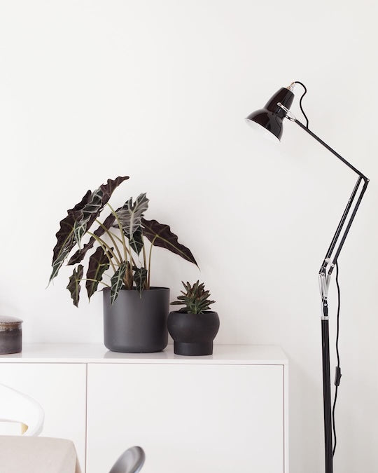 1227 Floor Lamp