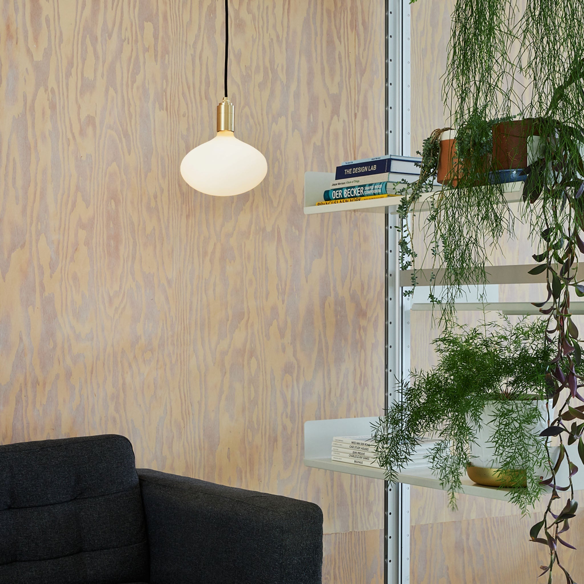 Oval II Pendant Light by Tala — lifestyle setting, graphite angle