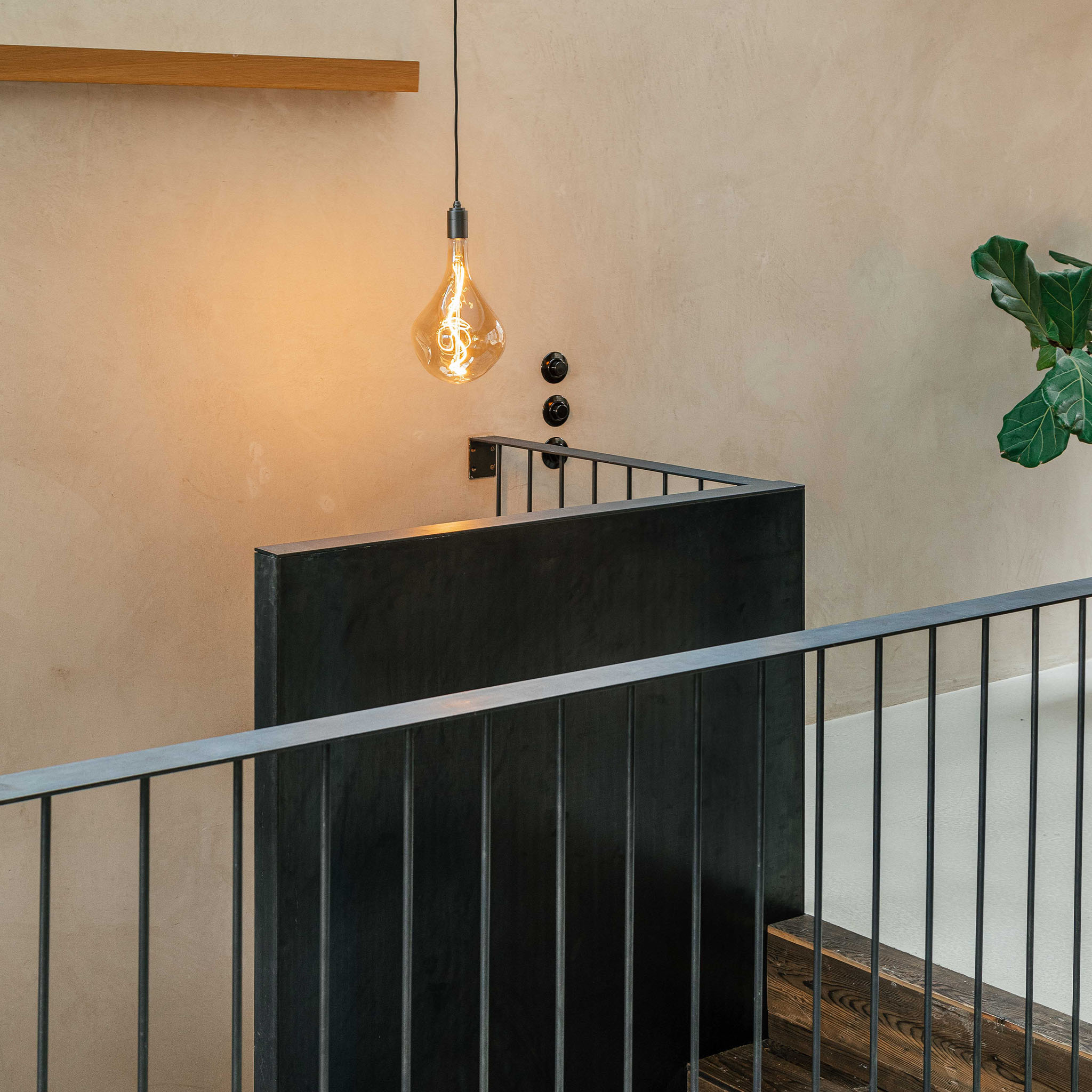 Voronoi III Plug-In Pendant by Tala in Graphite — garden lifestyle