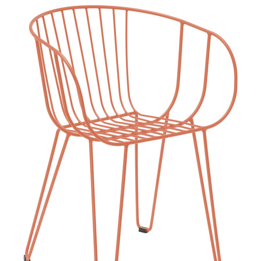 Olivo Arm Chair
