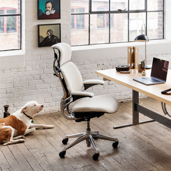 Humanscale Freedom task chair with Ocean plastic headrest