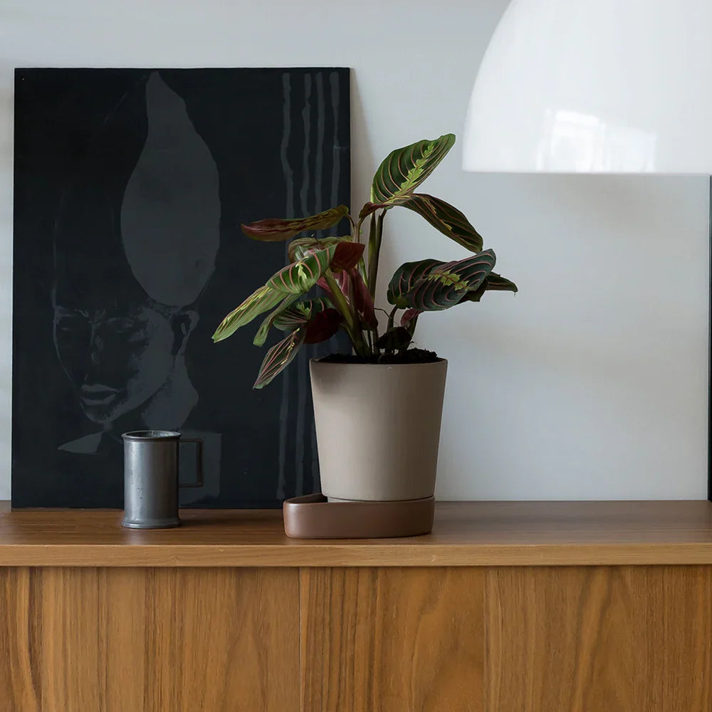 A Case Sip plant pot and a small vessel on a walnut sideboard, beside framed artwork and a pale lamp