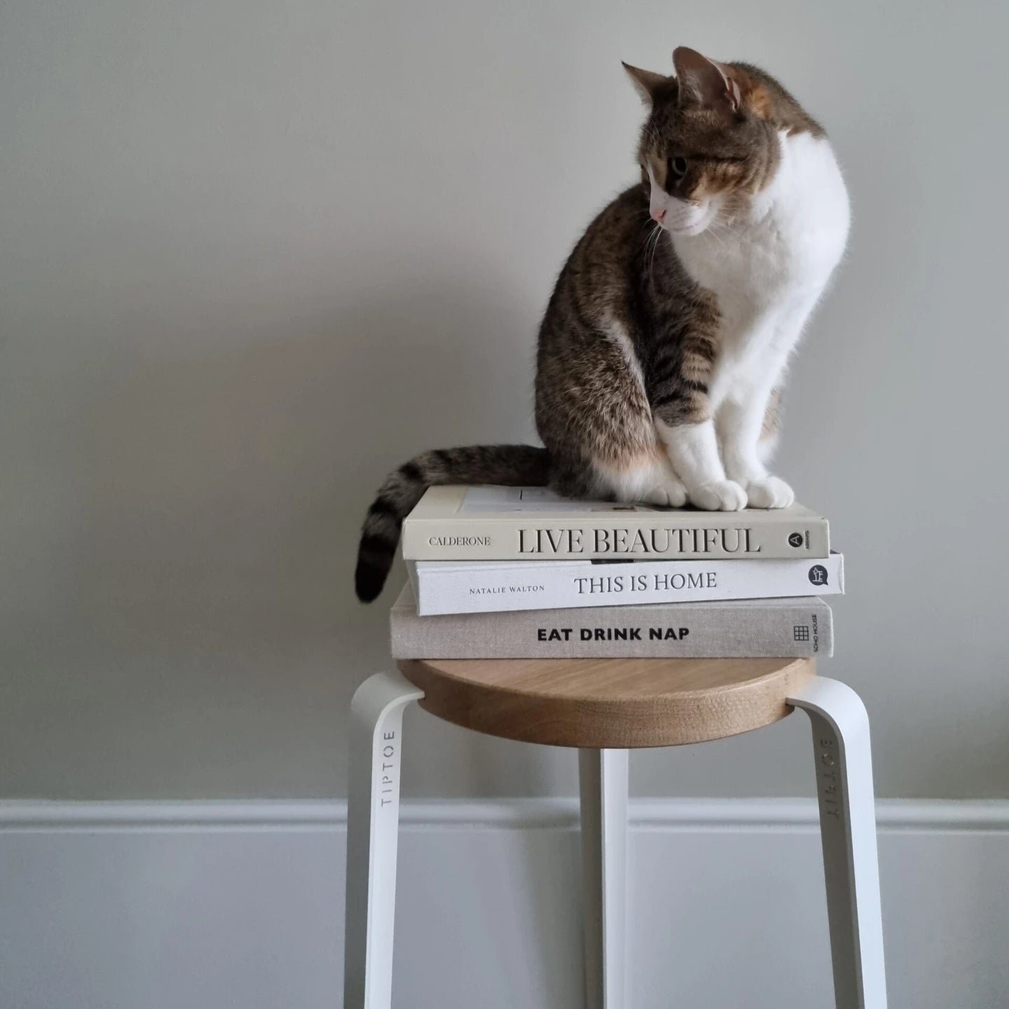 Tiptoe LOU Stool