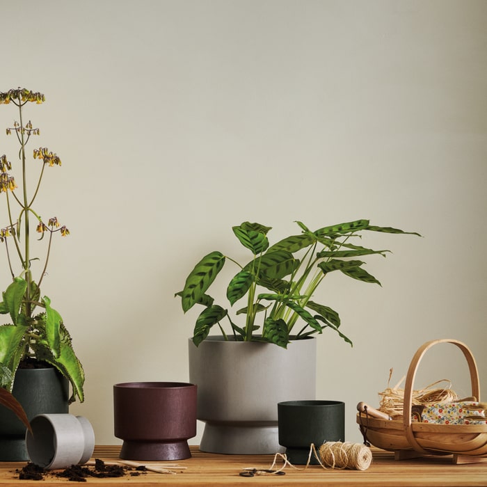 Recycled Flower Pots