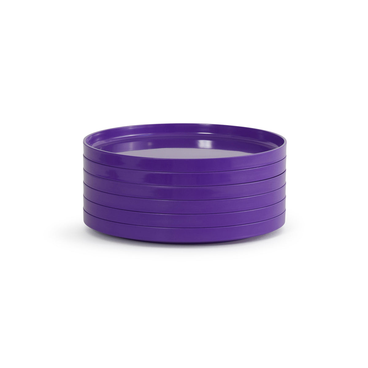 Heller Max Dinner Plates 9.75" (Set of 6) in Purple