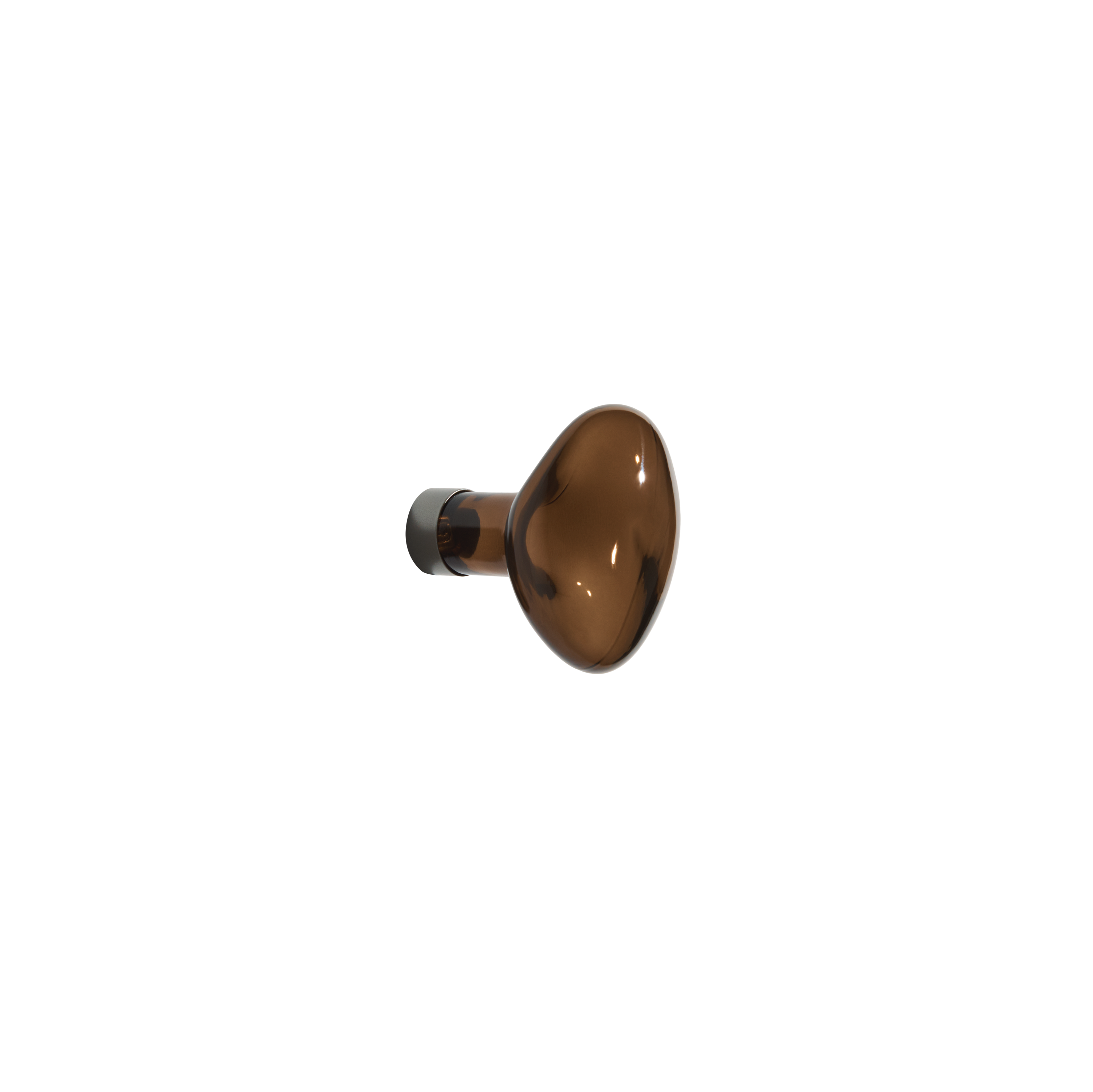 Bubble Coat Hook