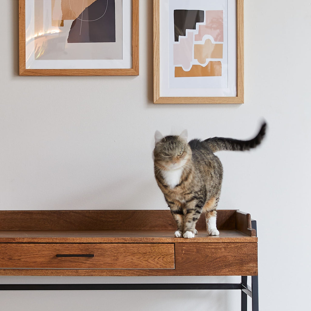 Tikamoon Hedda desk in solid mango and metal, detail of the lacquered top edge