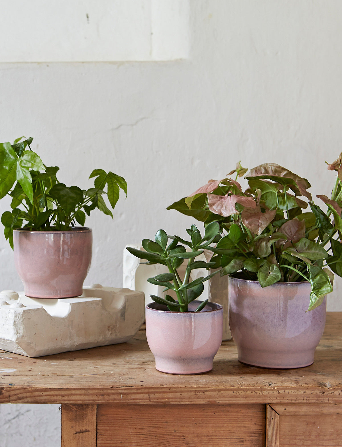 Knabstrup Flowerpot in rose, styled in an interior setting, glazed terracotta