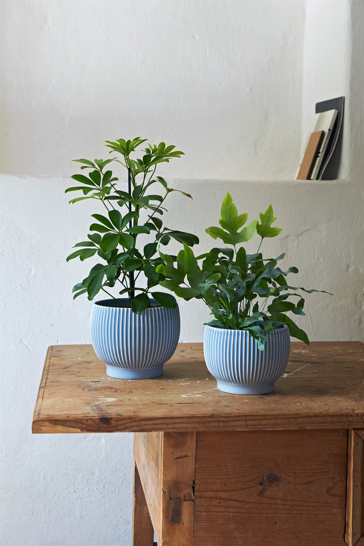 Knabstrup Ripple Flowerpot in lavender, styled in an interior setting, glazed earthenware