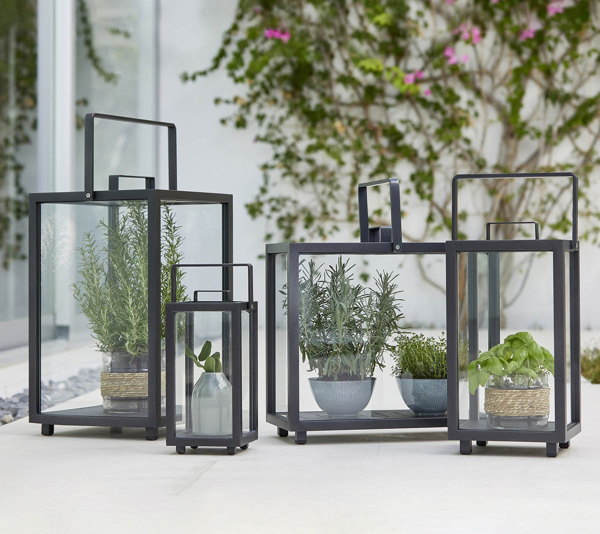 Four Cane-line Lighthouse Lanterns in Lava Grey aluminum and glass holding plants