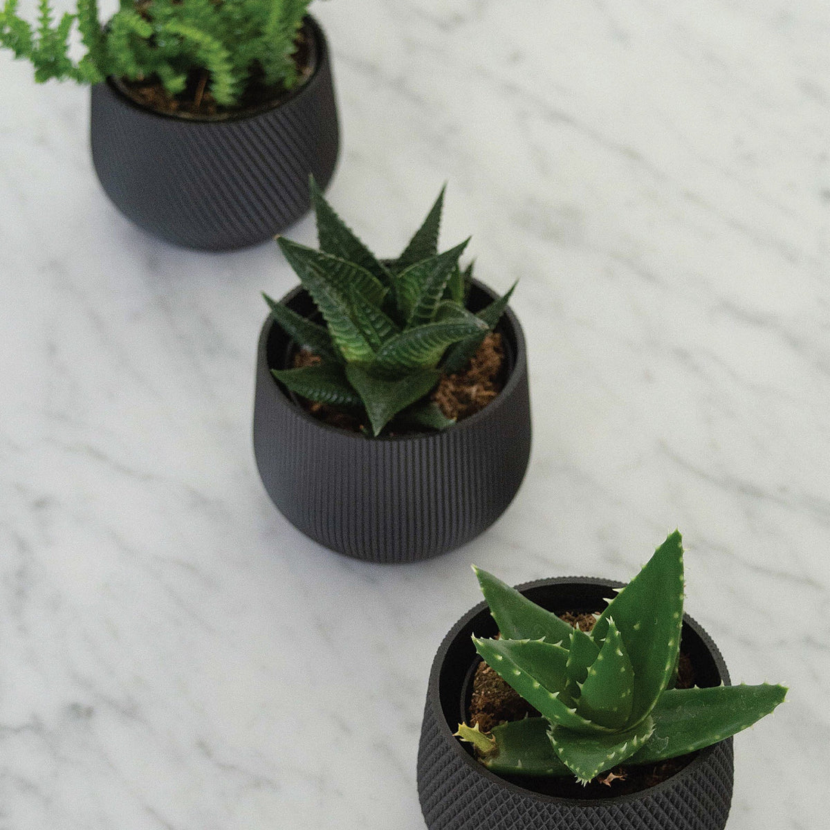 Mini Planter Set