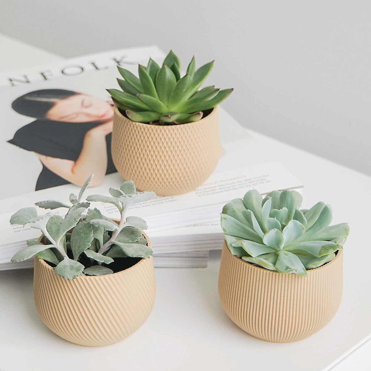 Mini Planter Set