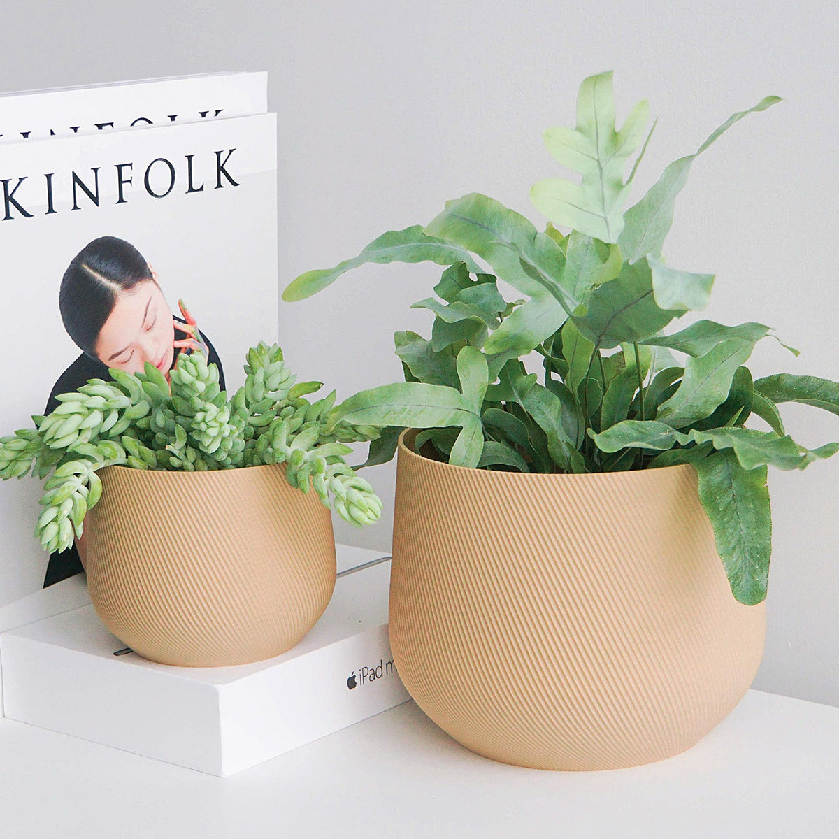 Juniper Planter